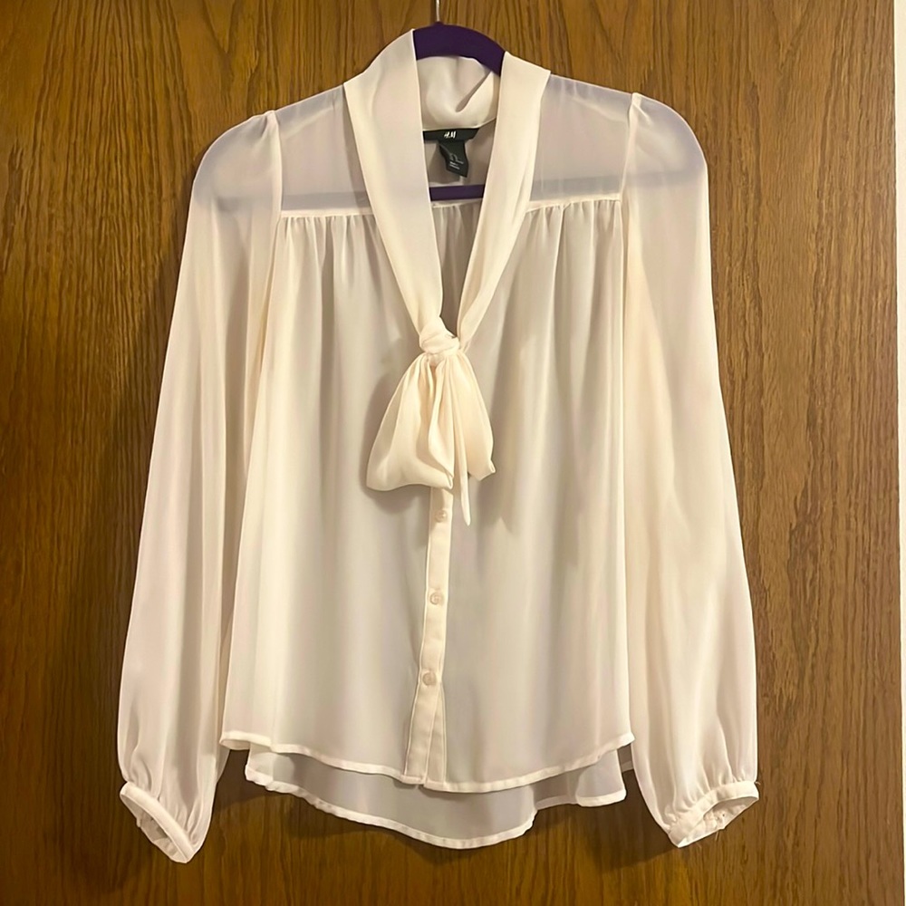 H&M sheer blouse